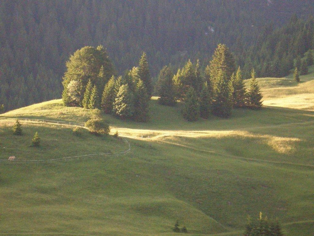 Alpenhof "Alt Laehn" Hotell Eksteriør bilde